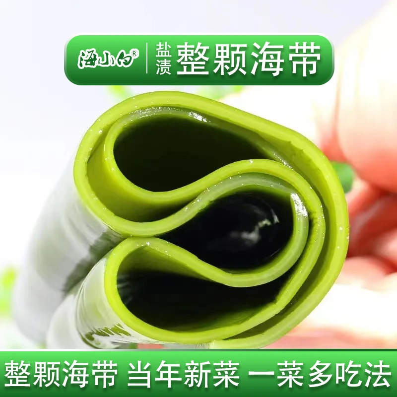 海小白24年头茬 盐渍海带 净重5斤 大连深海 包饭凉拌煲汤火锅