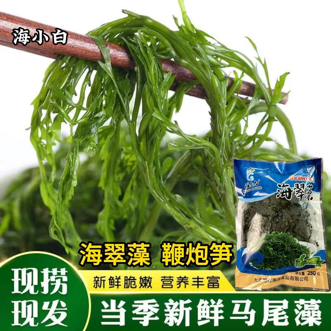 海小白马尾藻半斤1斤新鲜盐渍海草鞭炮笋长寿菜 涮火锅 凉拌 包子
