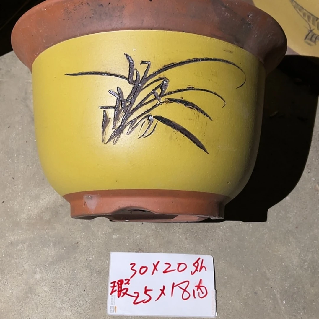 【闪购商品】紫砂20cm(含)-50cm(含)