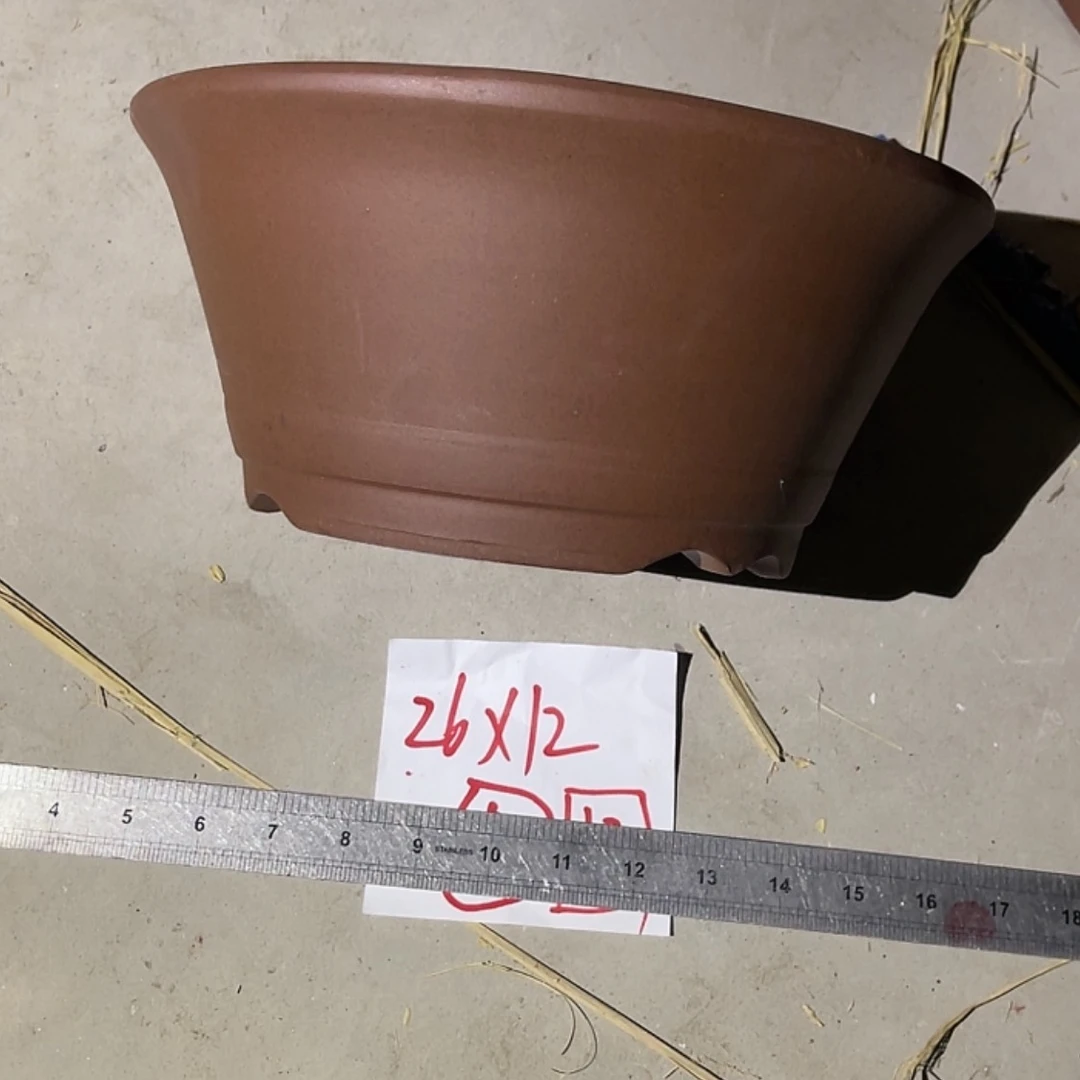 【闪购商品】紫砂20cm(含)-50cm(含)