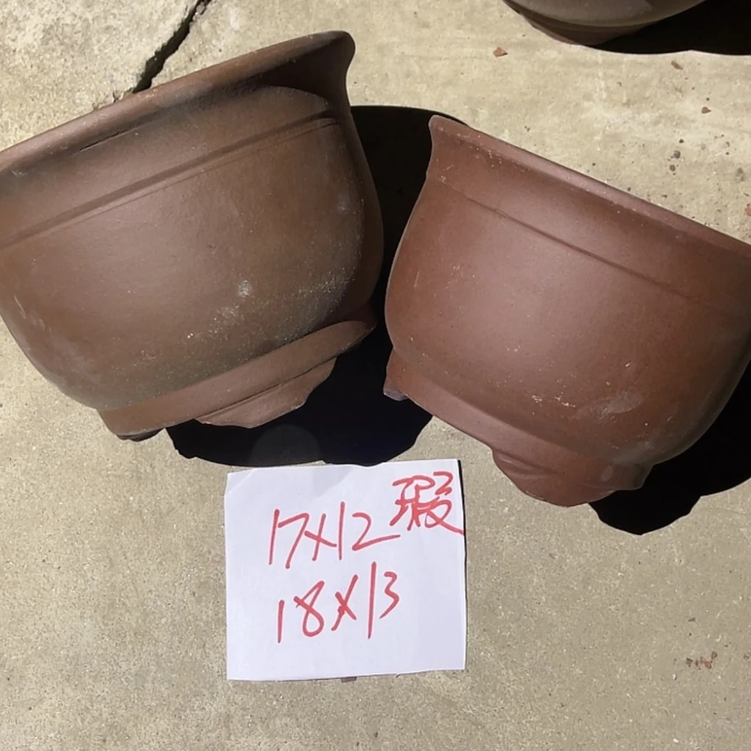 【闪购商品】紫砂20cm(含)-50cm(含)