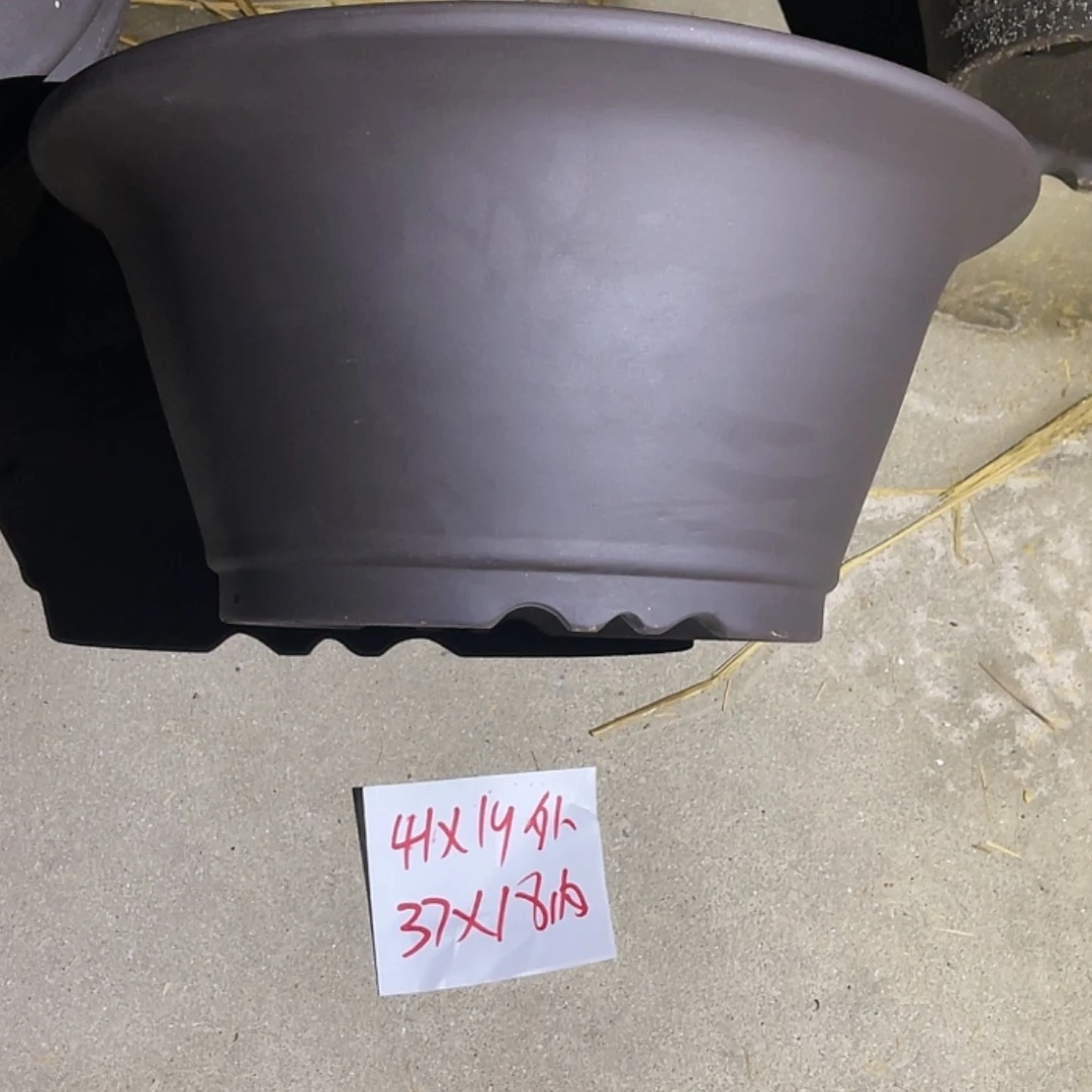 【闪购商品】紫砂20cm(含)-50cm(含)