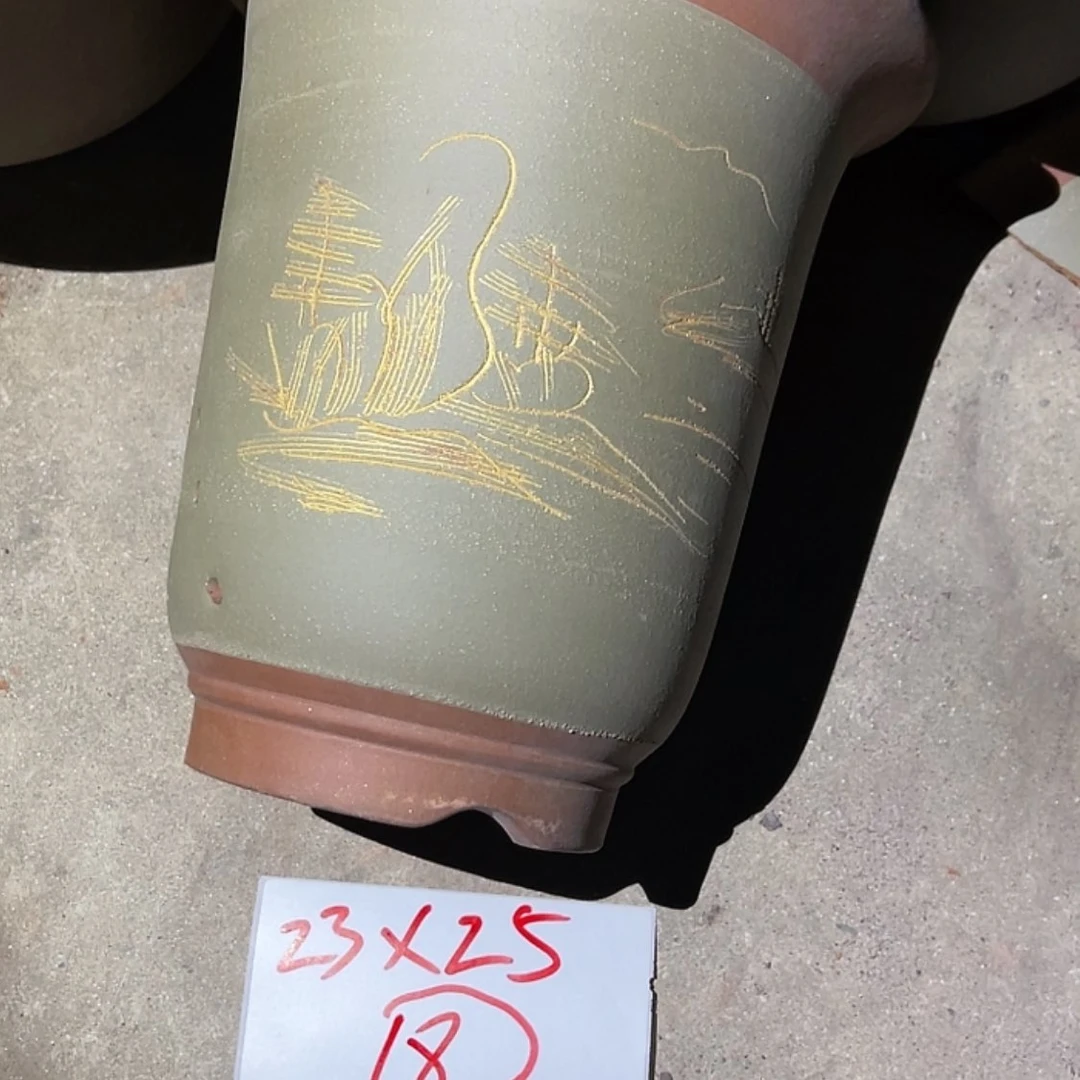 【闪购商品】紫砂20cm(含)-50cm(含)