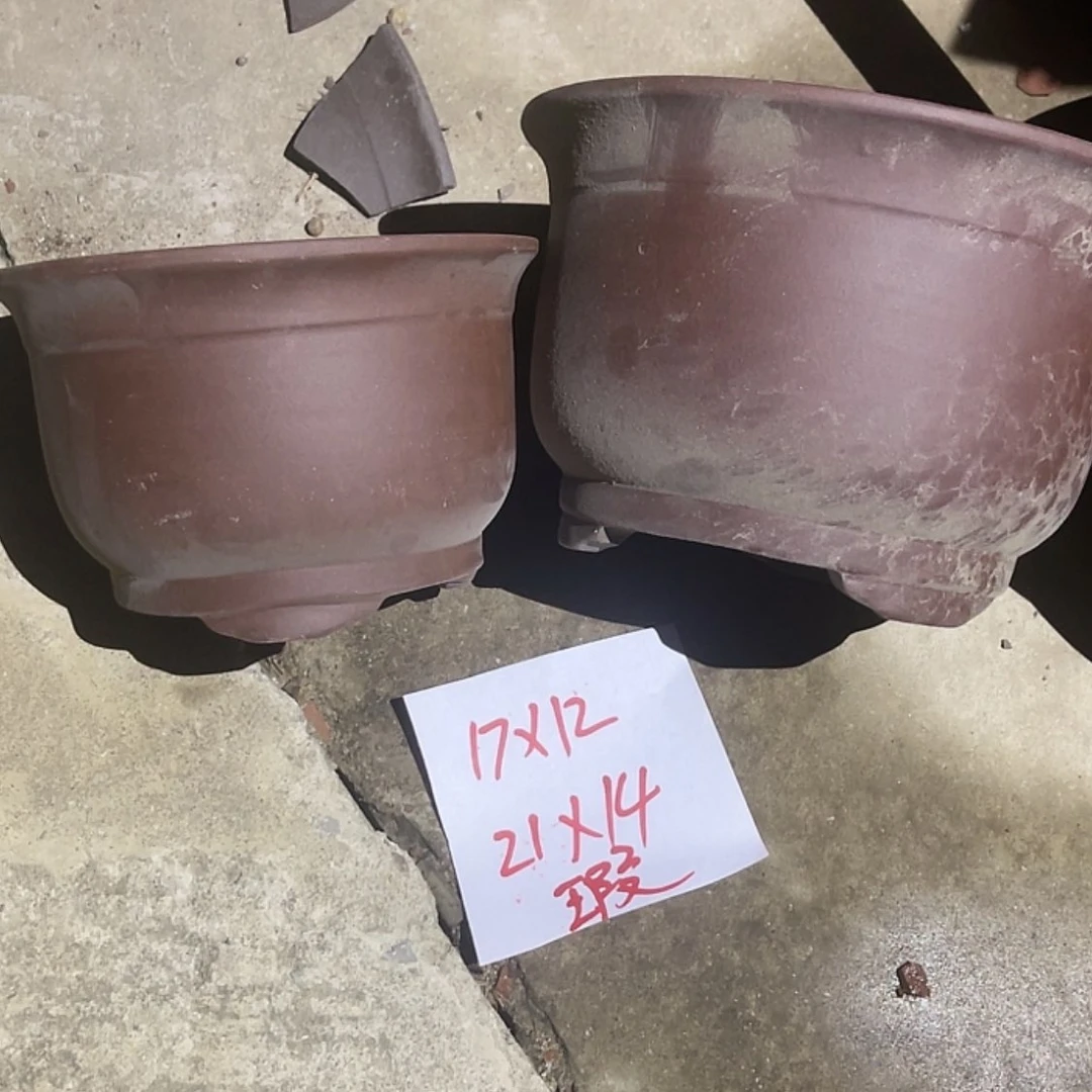 【闪购商品】紫砂20cm(含)-50cm(含)