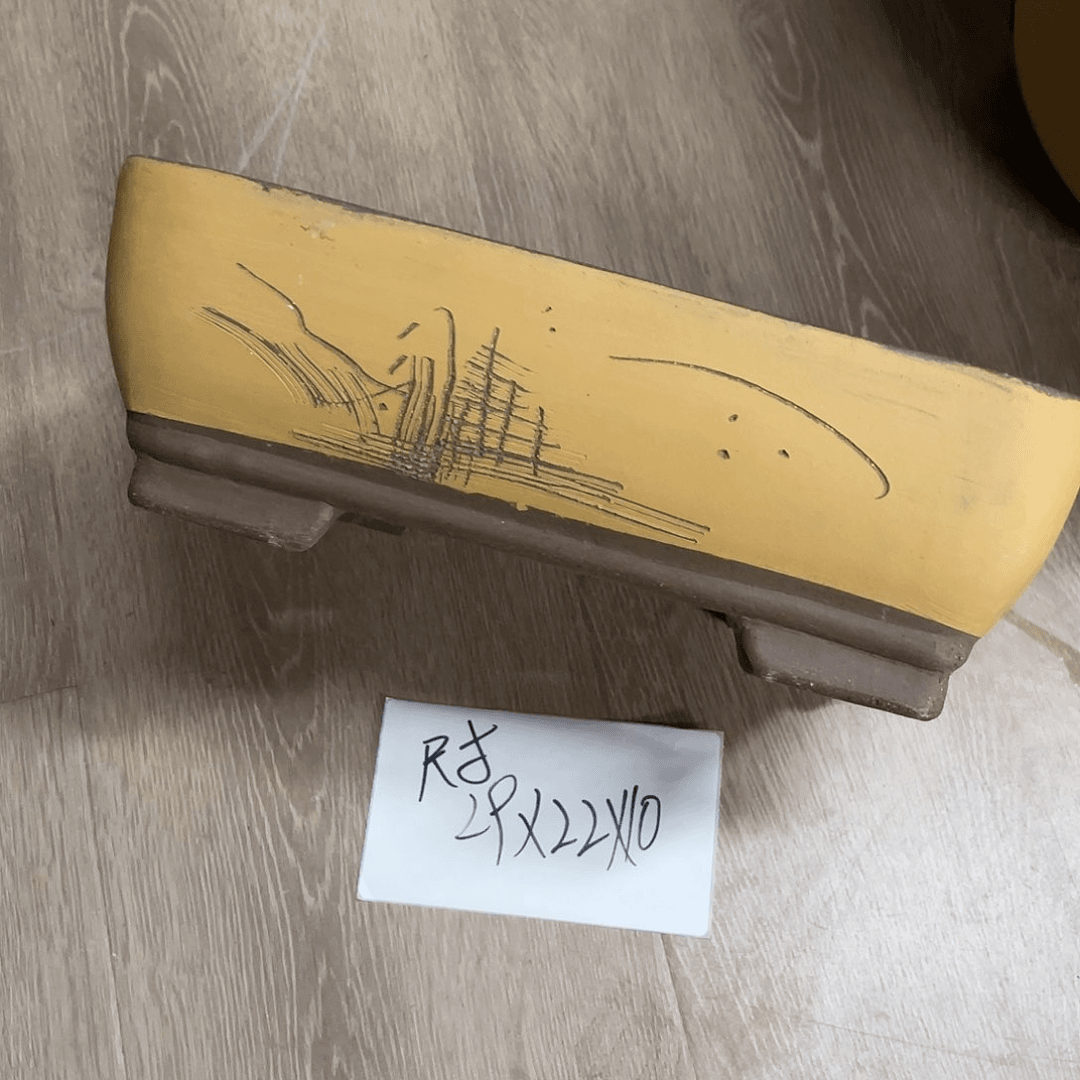 紫砂20CM（含）-50CM（不含）