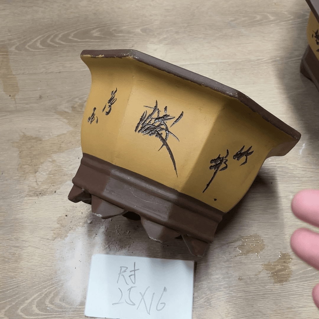 紫砂20CM（含）-50CM（不含）