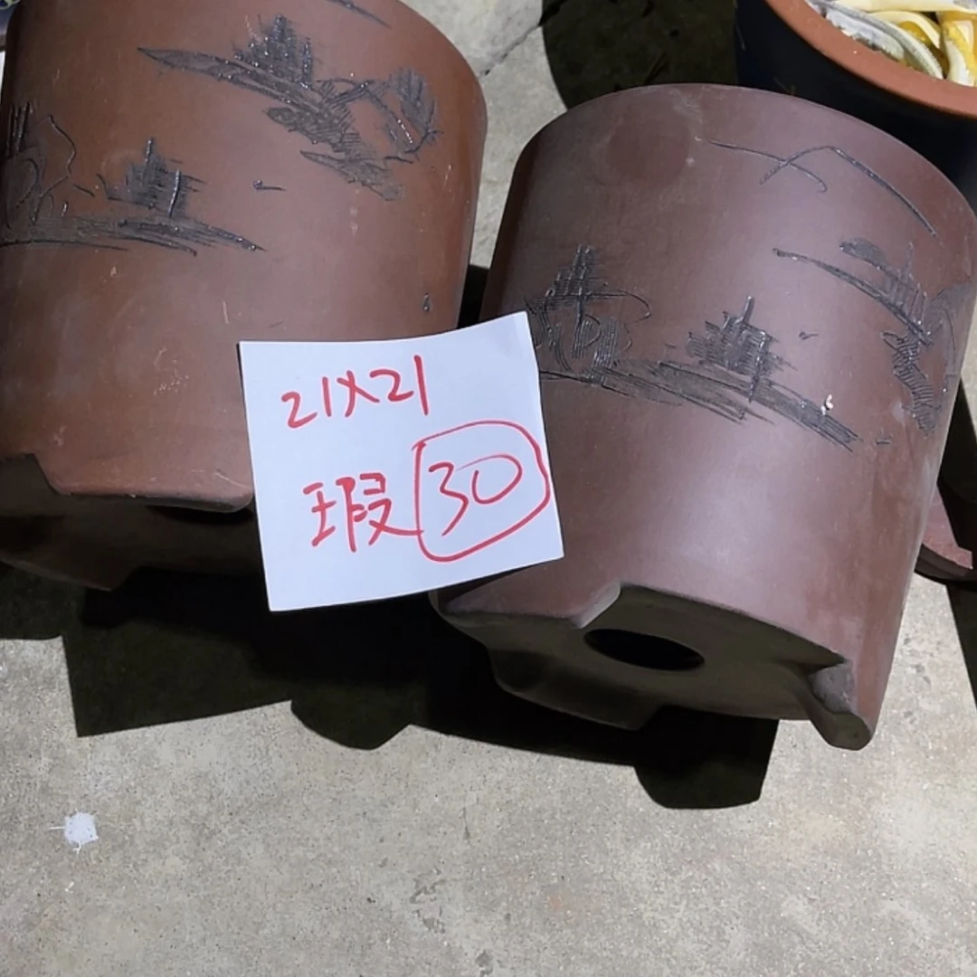 【闪购商品】紫砂20cm(含)-50cm(含)