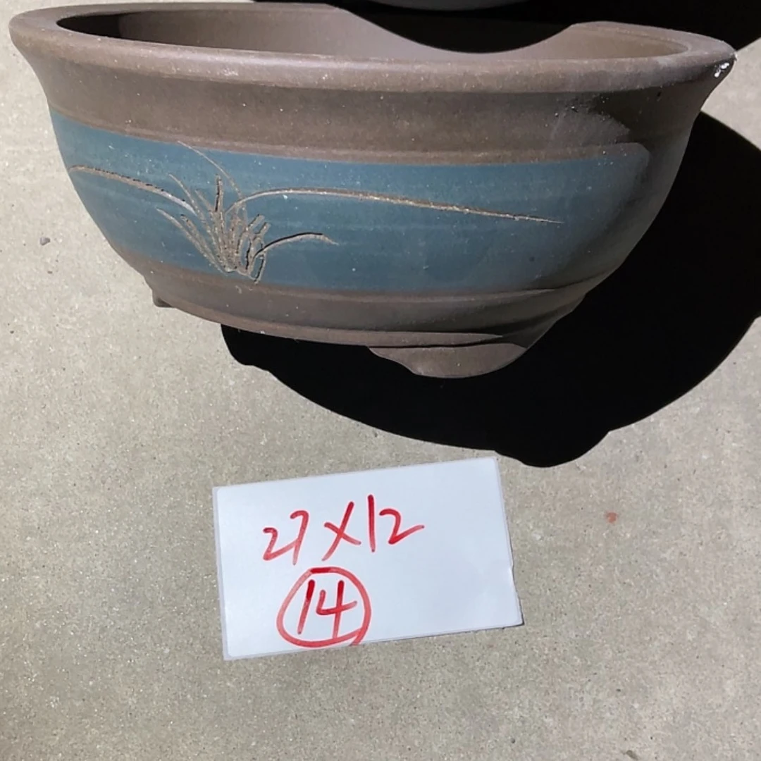 【闪购商品】紫砂20cm(含)-50cm(含)