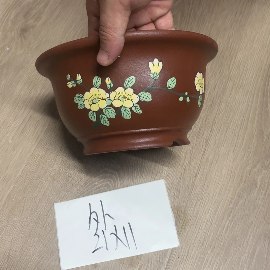 紫砂20CM（含）-50CM（不含）