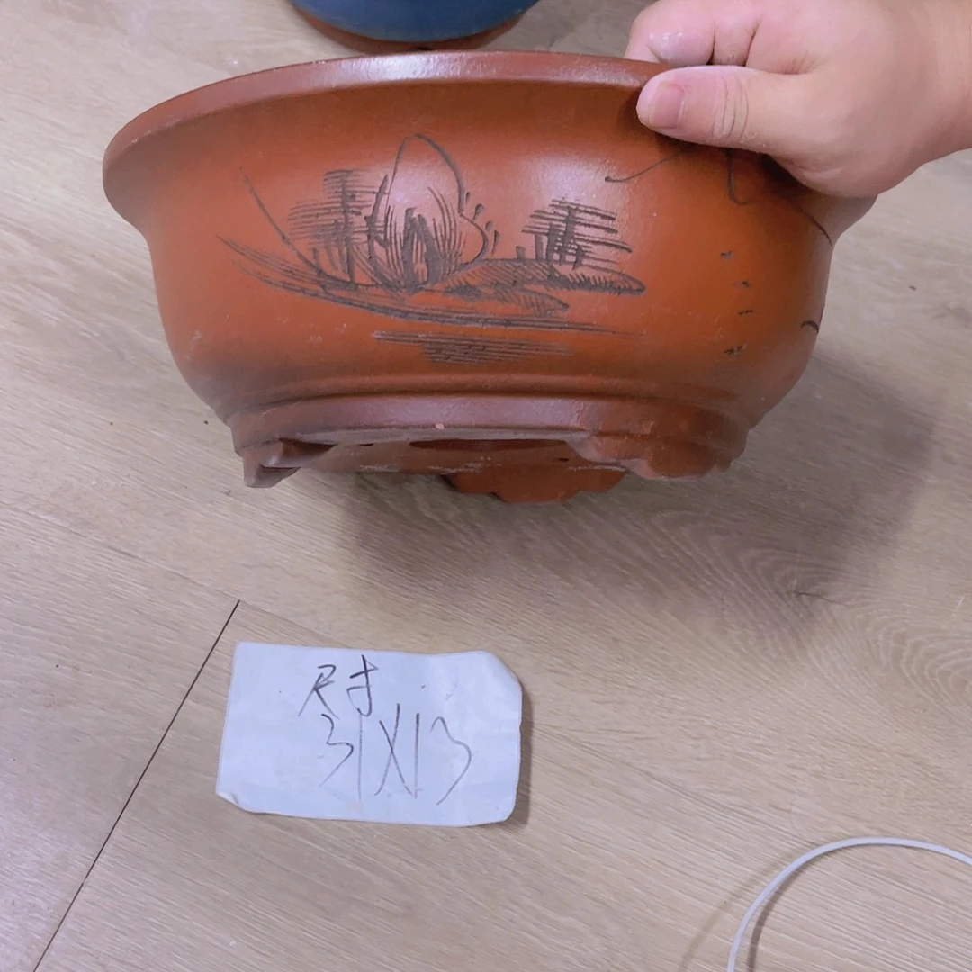 紫砂20CM(含)-50CM(不含)