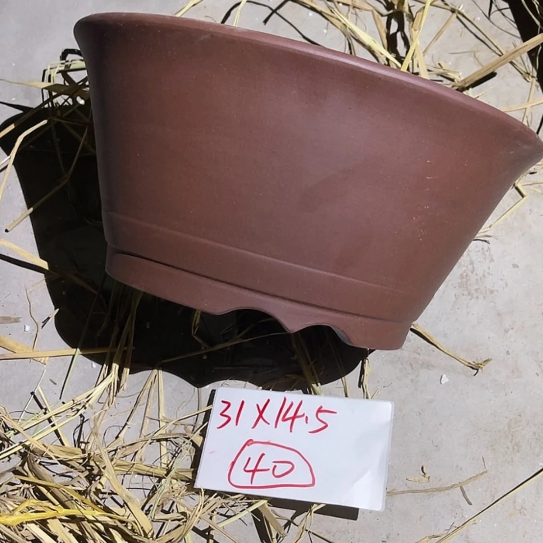 【闪购商品】紫砂20cm(含)-50cm(含)