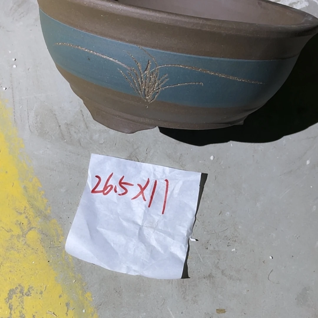 【闪购商品】紫砂20cm(含)-50cm(含)
