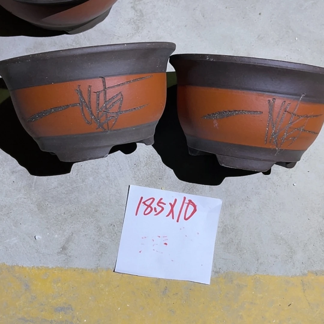 【闪购商品】紫砂20cm(含)-50cm(含)
