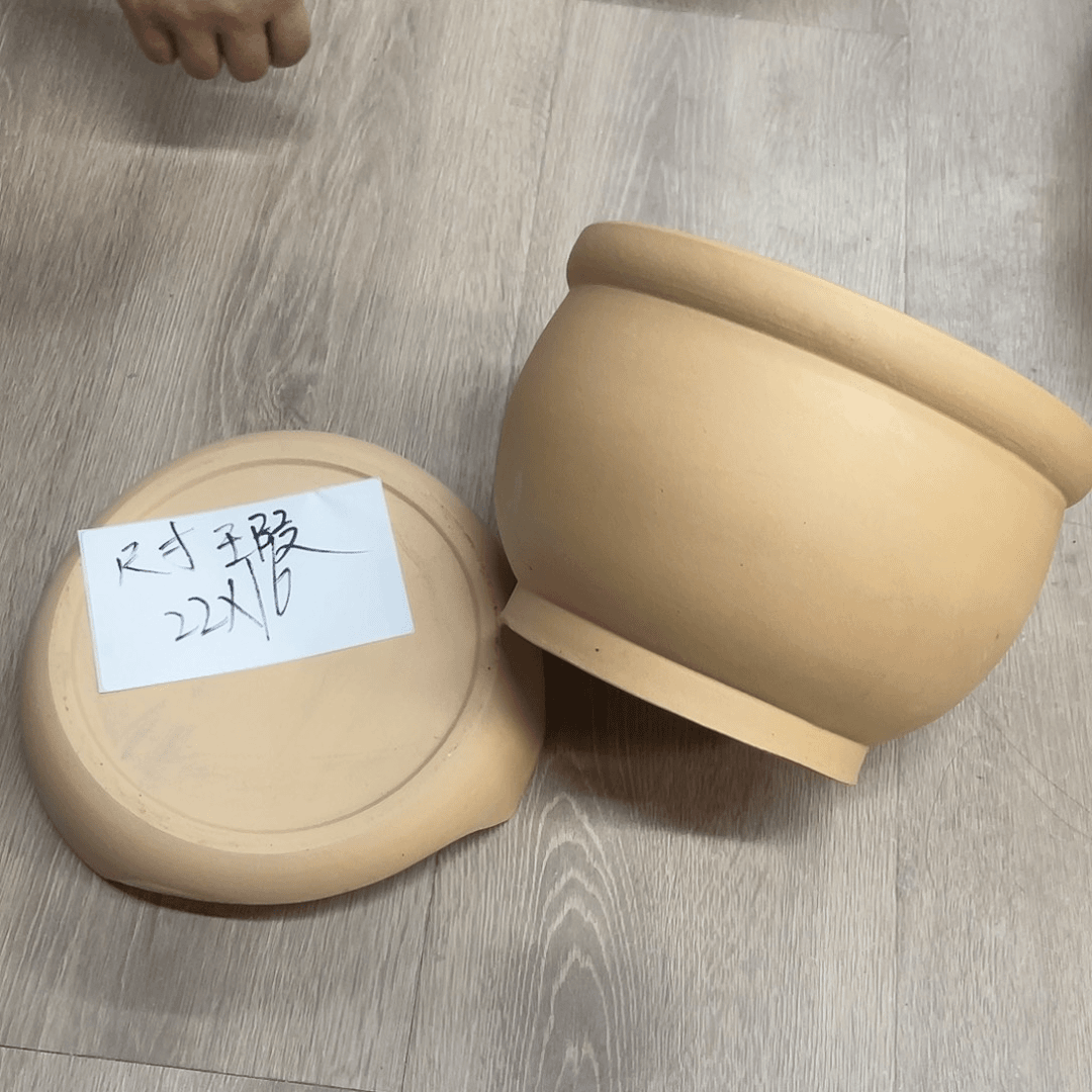 紫砂20CM（含）-50CM（不含）