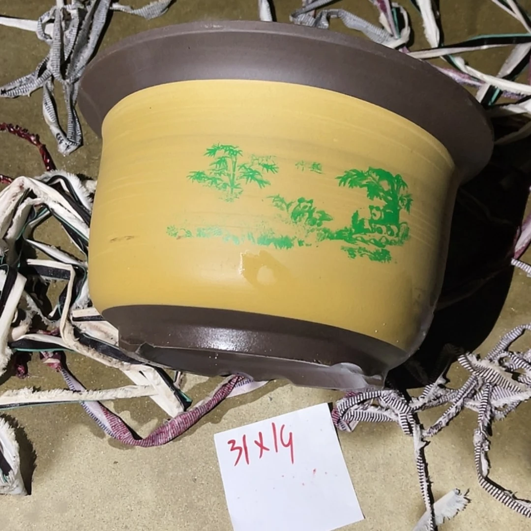 【闪购商品】紫砂20cm(含)-50cm(含)