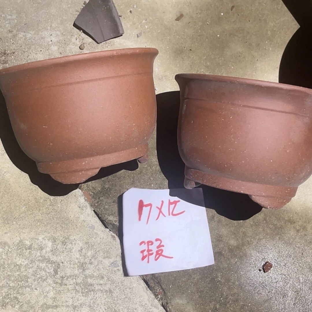 【闪购商品】紫砂20cm(含)-50cm(含)