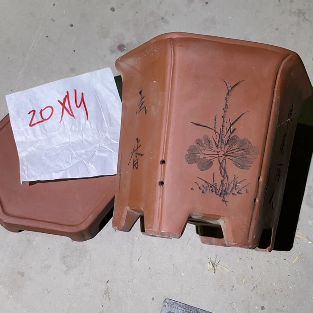 【闪购商品】紫砂20cm(含)-50cm(含)