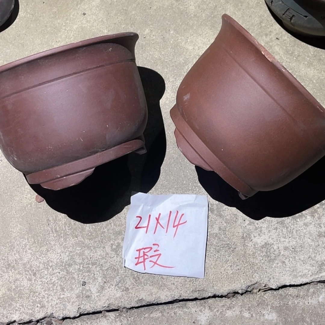 【闪购商品】紫砂20cm(含)-50cm(含)