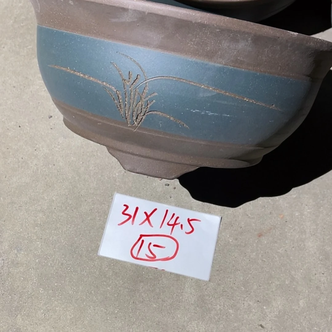 【闪购商品】紫砂20cm(含)-50cm(含)