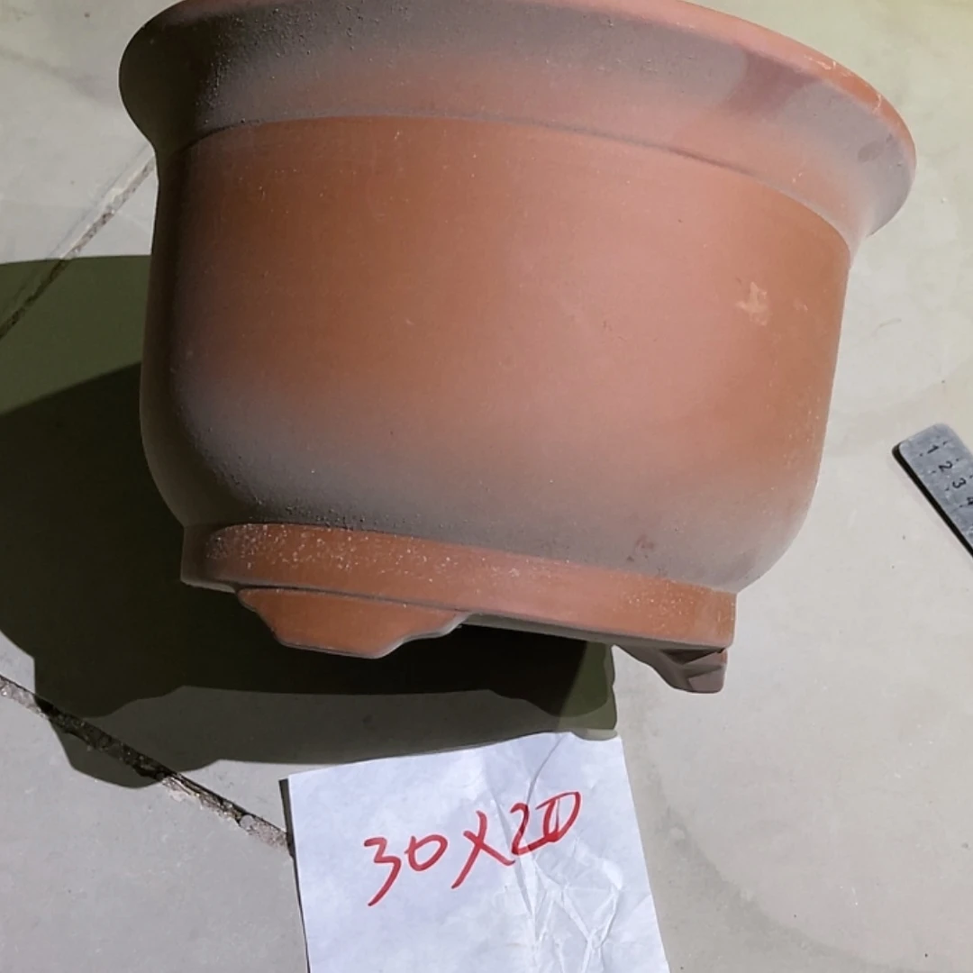 【闪购商品】紫砂20cm(含)-50cm(含)
