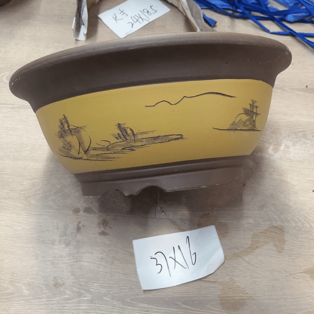 紫砂20CM（含）-50CM（不含）