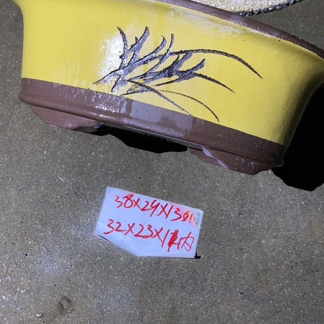 【闪购商品】紫砂20cm(含)-50cm(含)