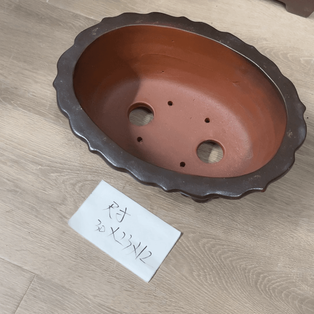 紫砂20CM（含）-50CM（不含）