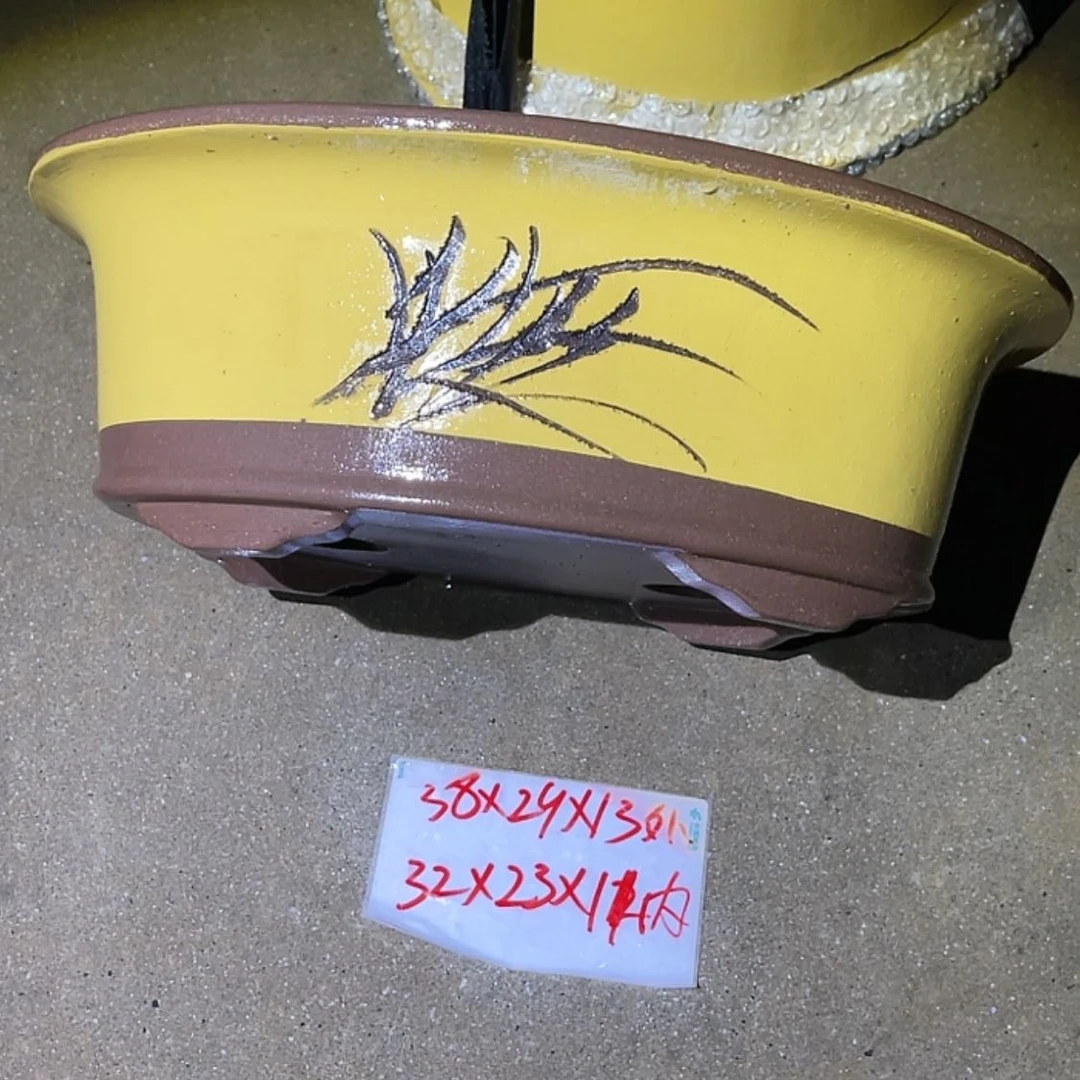 【闪购商品】紫砂20cm(含)-50cm(含)