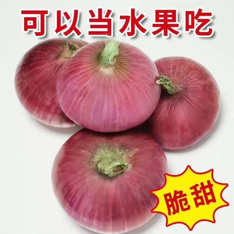 （坏果包赔）2023年二月红水果洋葱新鲜洋葱5斤装
