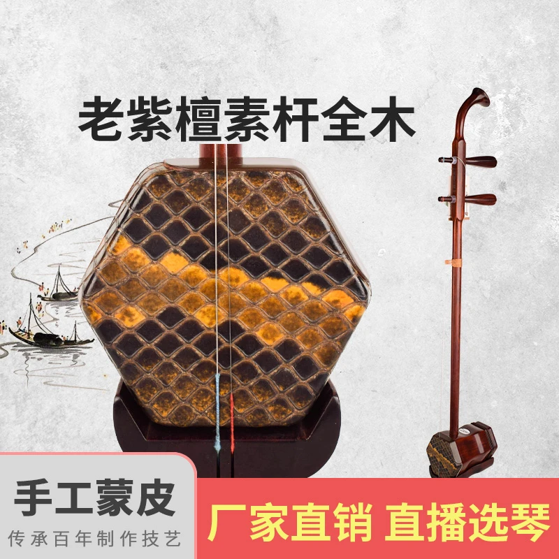 赵军二胡老紫檀全木素杆二胡专业演奏厂家直销