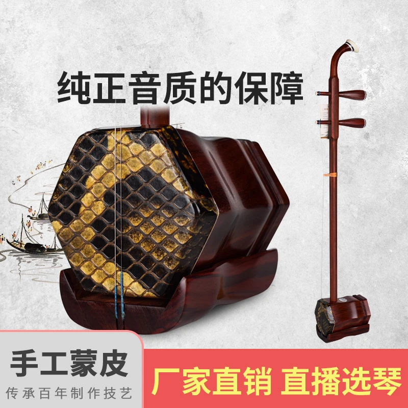 （XY810）赵军品牌小叶紫檀二胡演奏专业传统大师