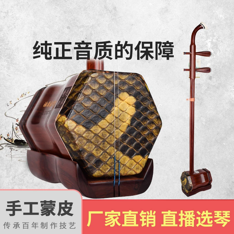 （XY811）赵军二胡演奏厂家直销大师珍品民族品牌