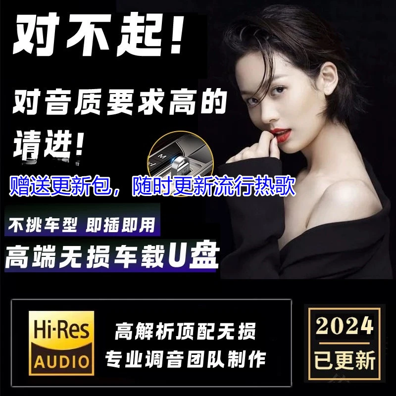 【正版特调】2024车载音乐u盘即插即用黑胶品质DJ车载U盘抖音热门