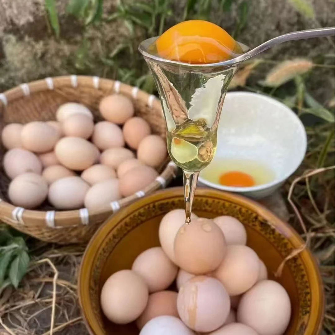 山林放养  土鸡蛋