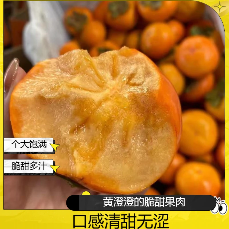 【产地直发】山西阳丰脆甜柿子冰糖心柿净重4.5斤-5斤削皮农家直供