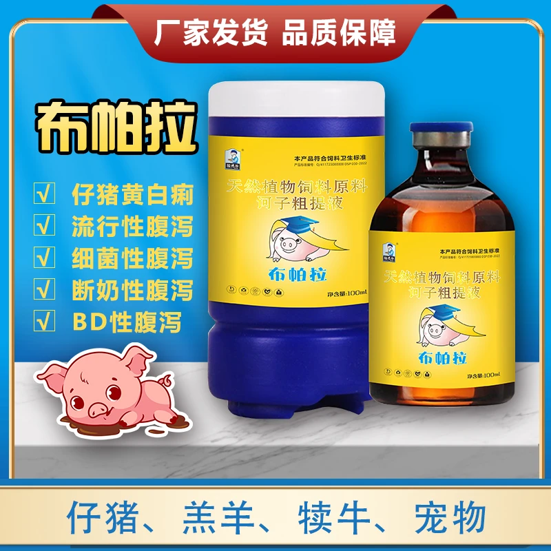 【布帕拉】新一代仔猪拉稀小猪啦稀厂家直发宠物猫咪