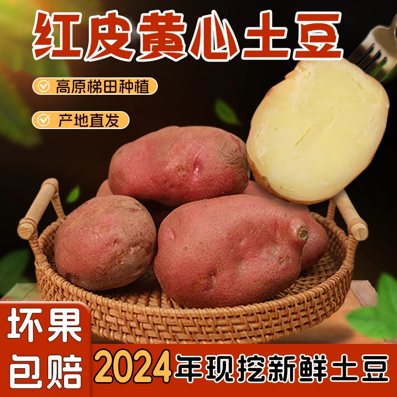 甘肃沙面土豆洋葱组合今年新季洋芋红皮黄心现挖5斤马铃薯炸薯条