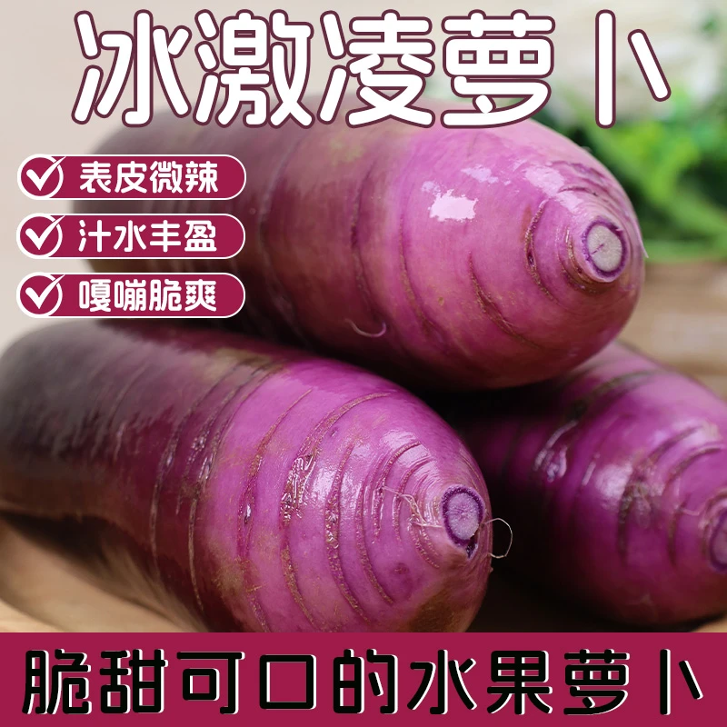 冰淇淋萝卜甘肃特产新鲜蔬菜水果罗卜生吃脆甜紫皮萝卜