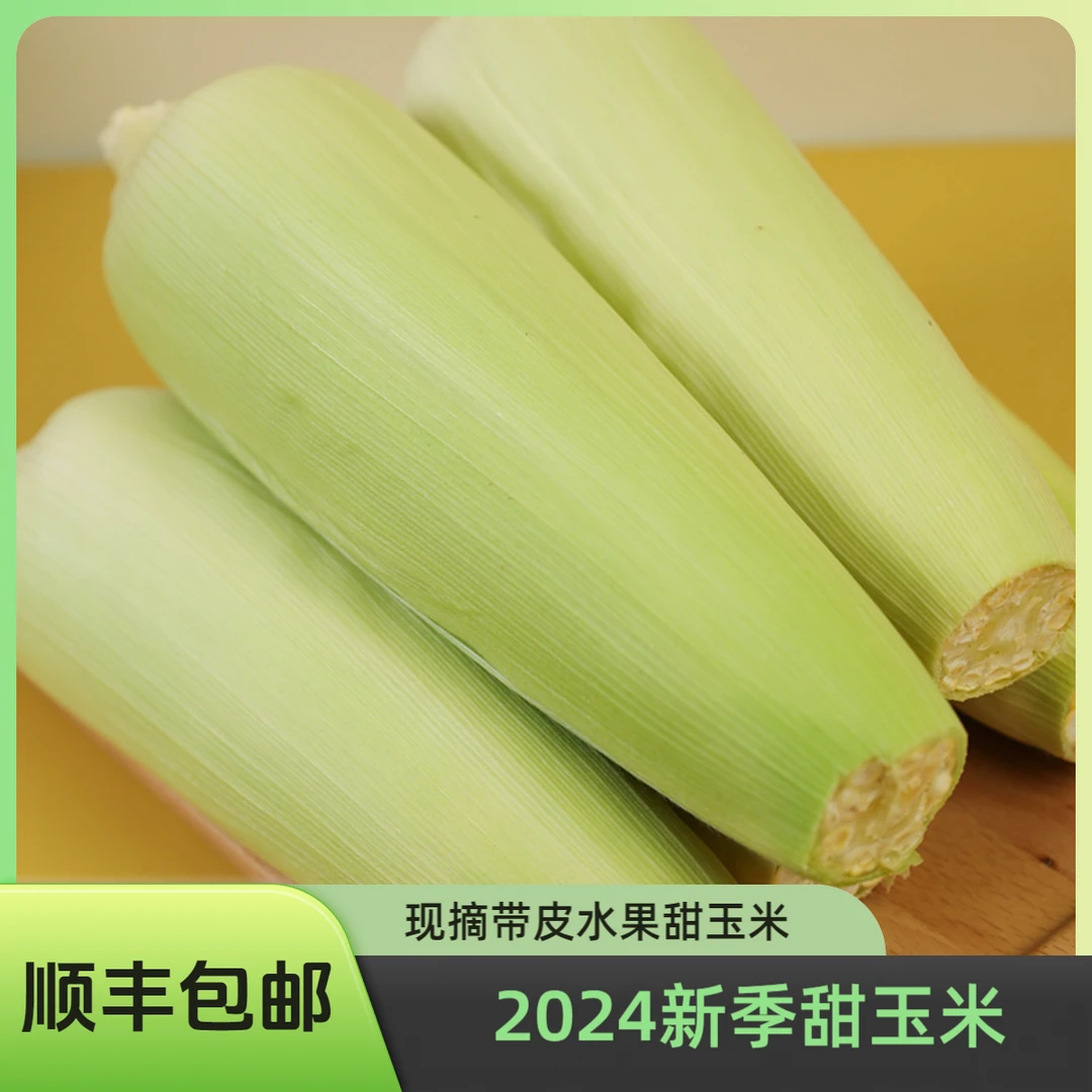 甘肃特产新鲜水果甜玉米清甜爆浆金银双色可榨汁即食现摘带皮
