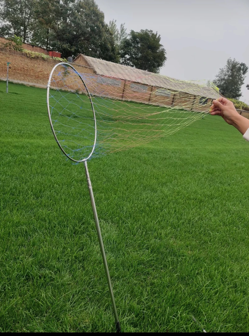 爱鸽宠物元素1.7.2.5.3.鸽子抄网