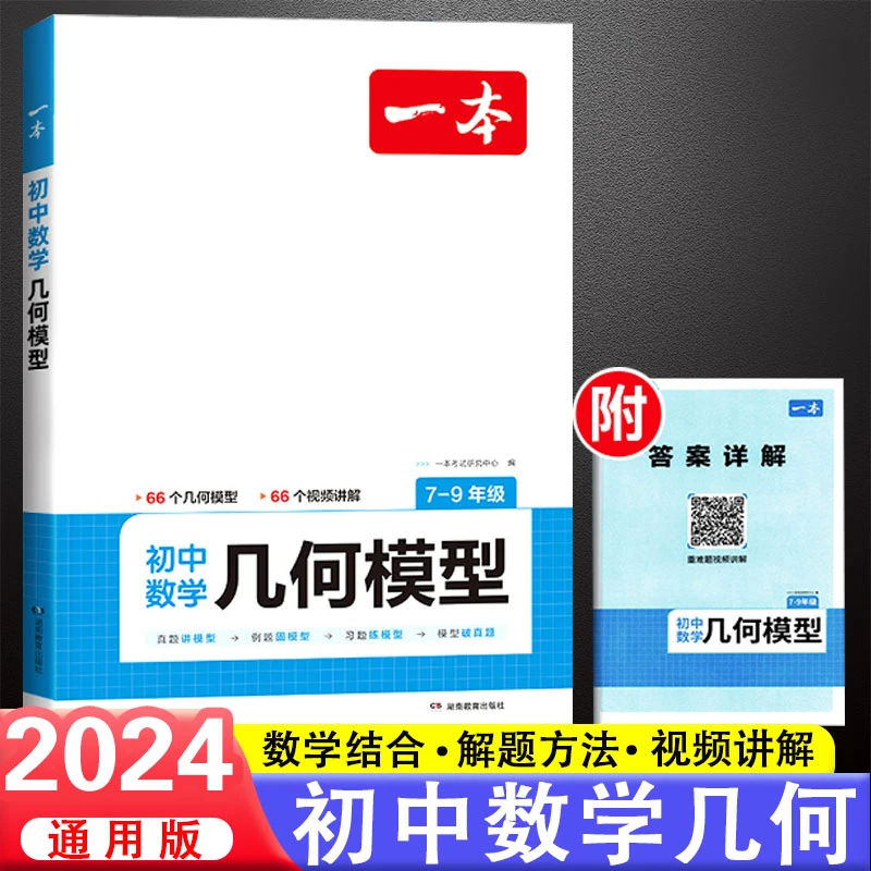 初中数学几何模型函数应用练习册解题方法与技巧公式思维专项训练
