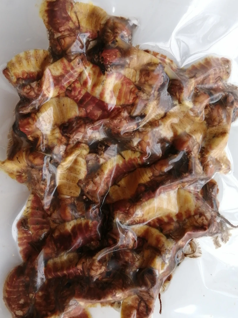 精品雄蚕蛾洗净的袋装食用雄蚕蛾柞蚕雄蚕蛾，公蛾，200克，共2袋