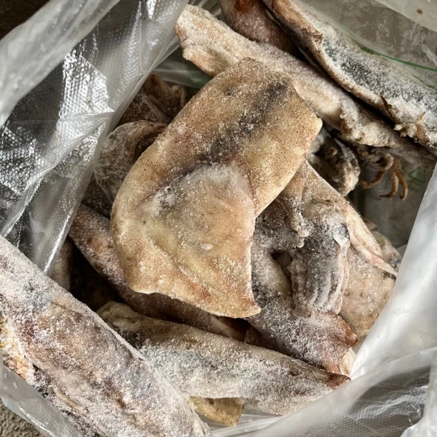 瑕疵鱿鱼 断头掉尾