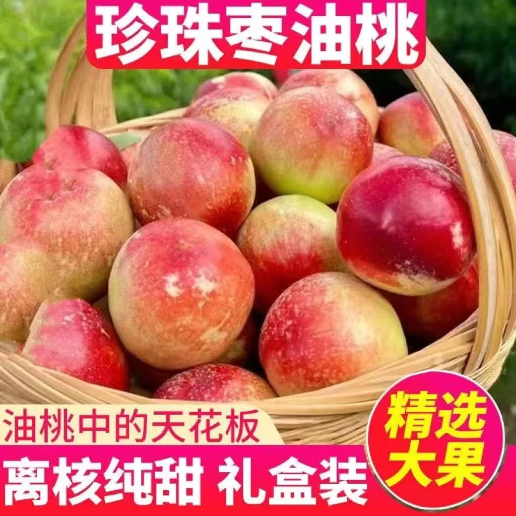 （夏日尝鲜）山西运城现摘现发新鲜珍珠枣油桃枣蜜桃4斤净果包邮
