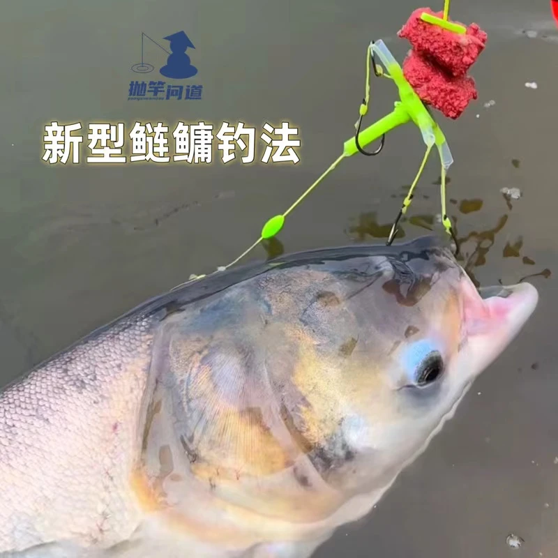 抛竿问道新型鲢鳙钓法酸臭榴莲味方块饼湖库江河海竿抛竿钓花白鲢