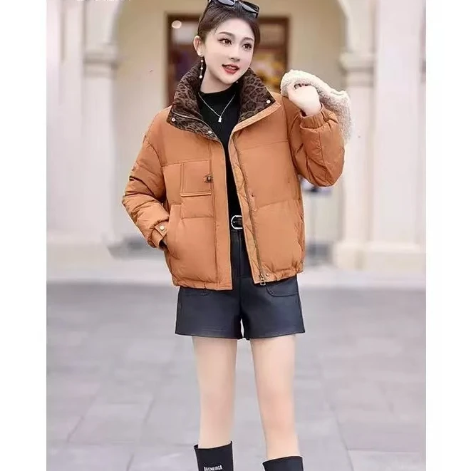 【撤柜样品】DJ668秋冬季气质百搭棉衣外套女