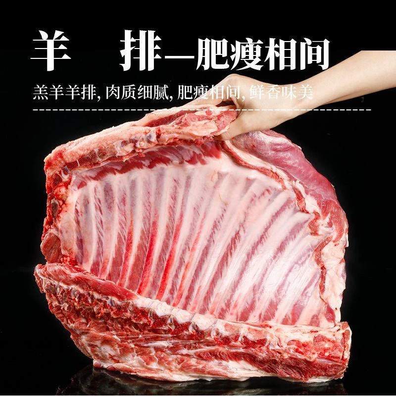 新鲜羊排青藏祁连藏系草膘羯羊肉【清真冷链包邮】海拔四千米原生态