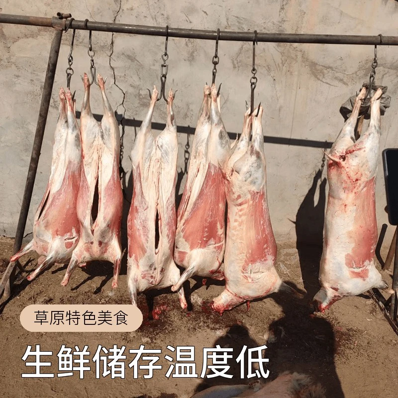 【直播间改价链接】(羊身上某个部位以直播间实称为准)红皮草膘羯羊