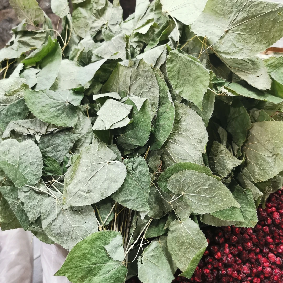 长白山特产本地大叶绿茶一袋100克