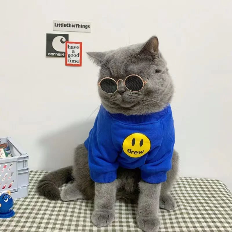秋冬宠物狗狗小型犬衣服秋装网红潮牌帅气美短公猫防掉毛猫咪衣服